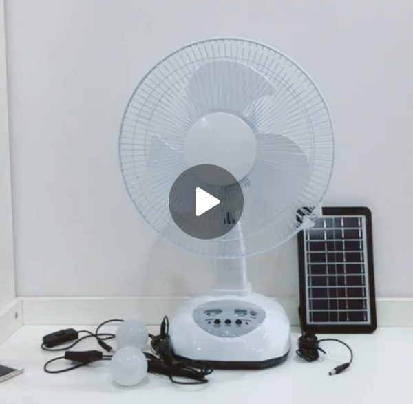 14” Rechargeable AC/DC Fan With 2 Led Bulbs